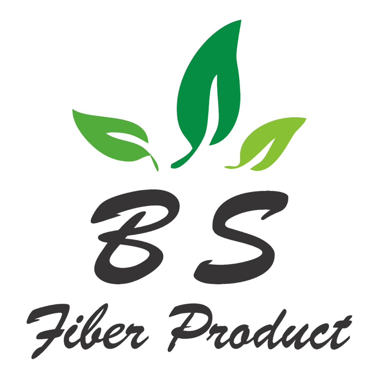BS Fiber